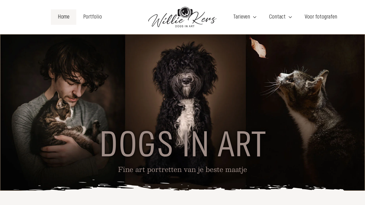 Voorbeeld van website van Dogs In Art